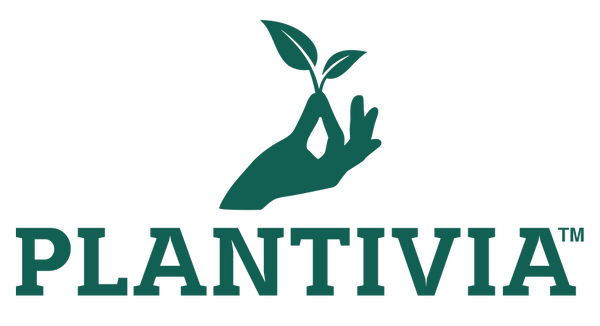 My Store logo