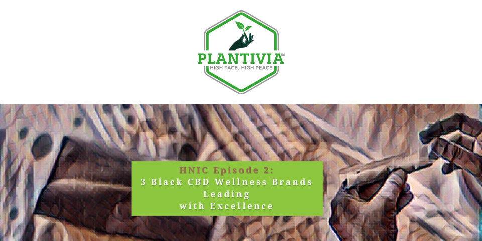 3 Black CBD Wellness Brands Leading with Excellence