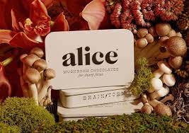Alice Mushroom Chocolates Brainstorm Mushroom for focus & energy