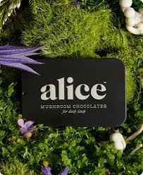 Alice Mushroom Chocolates NightCap Mushrooms for deep sleep